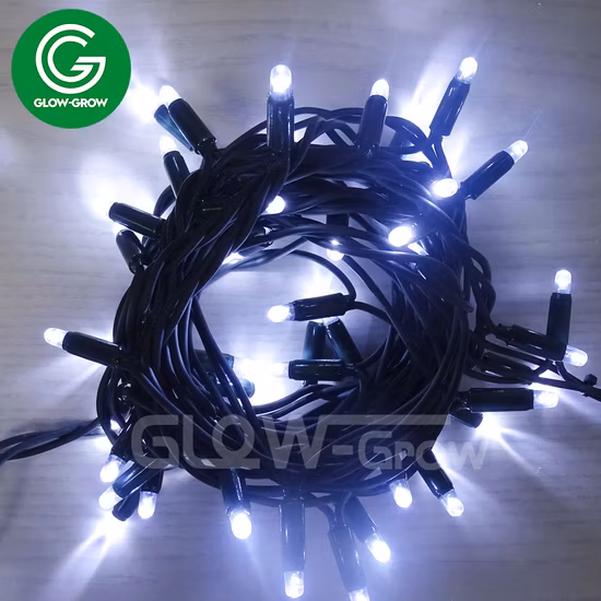 IP65 warmweiße, wetterfeste Weihnachts-LED-Lichterkette mit CE-RoHS-Kabel für Kabarett, Modenschau, Tanz, Bühnendekoration